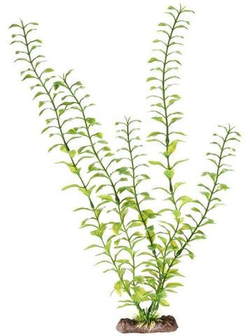 Penn Plax Sinkers Blooming Ludwigia Aquarium Plant Green