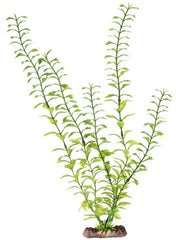 Penn Plax Sinkers Blooming Ludwigia Aquarium Plant Green