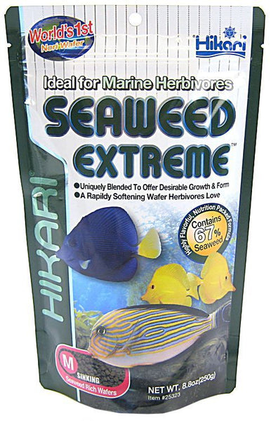 Hikari Seaweed Extreme-Medium Pellets