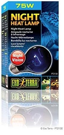 Exo-Terra Night Heat Lamp