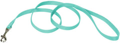 Coastal Pet Single-ply Teal Nylon Dog Lead