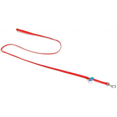 Coastal Pet Nylon Lead-Red