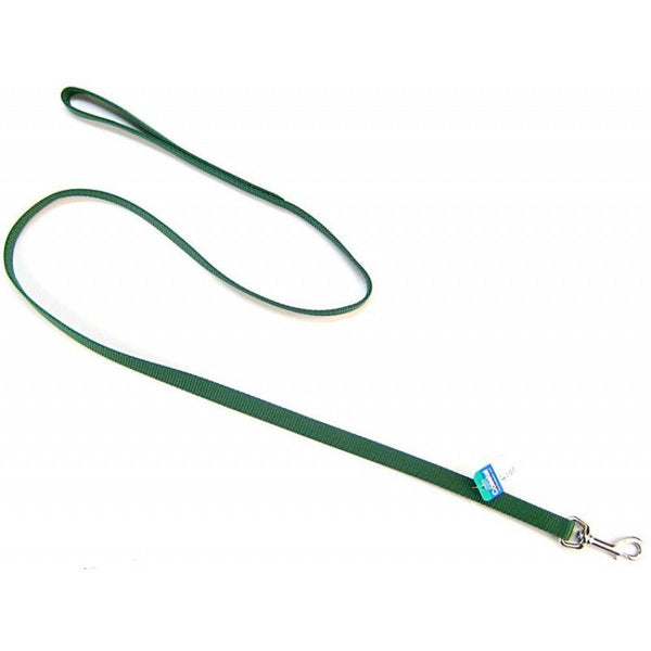 Coastal Pet Nylon Lead-Hunter Green