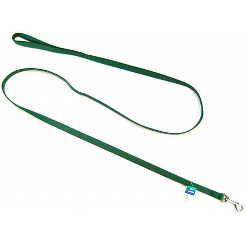 Coastal Pet Nylon Lead-Hunter Green