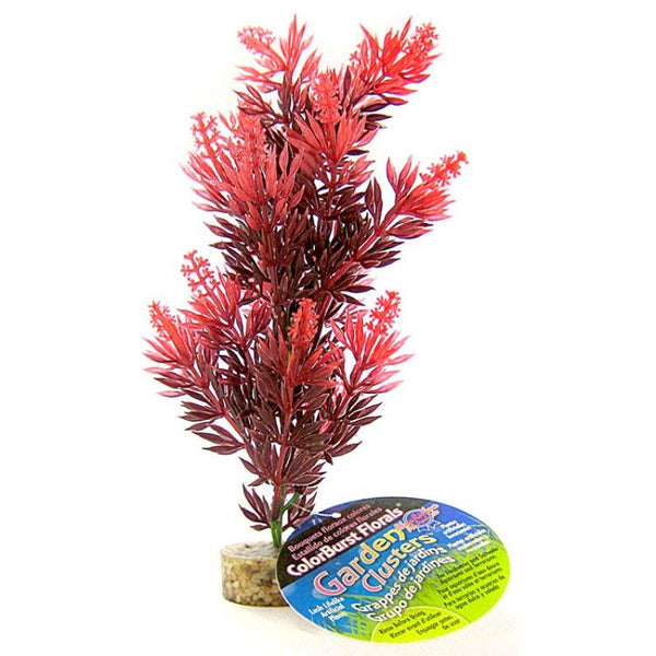 Blue Ribbon Bush Plant with Gravel Base-Red