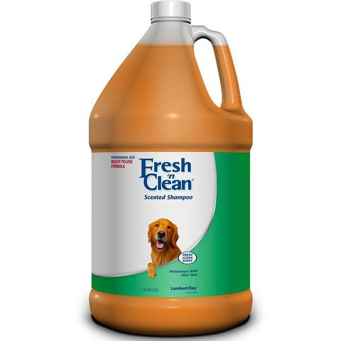 Fresh 'n Clean Scented Shampoo with Protein-Fresh Clean Scent