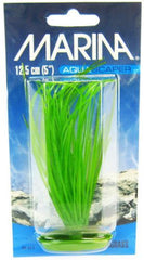 Marina Hairgrass Plant