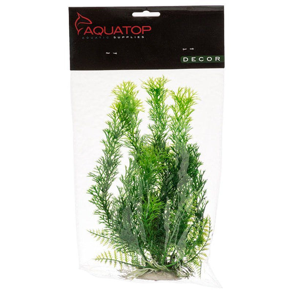 Aquatop Cabomba Aquarium Plant-Green