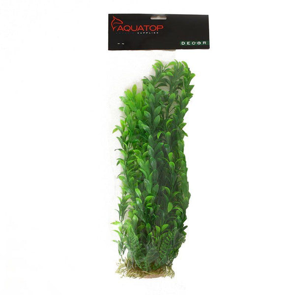 Aquatop Anacharis Aquarium Plant-Green