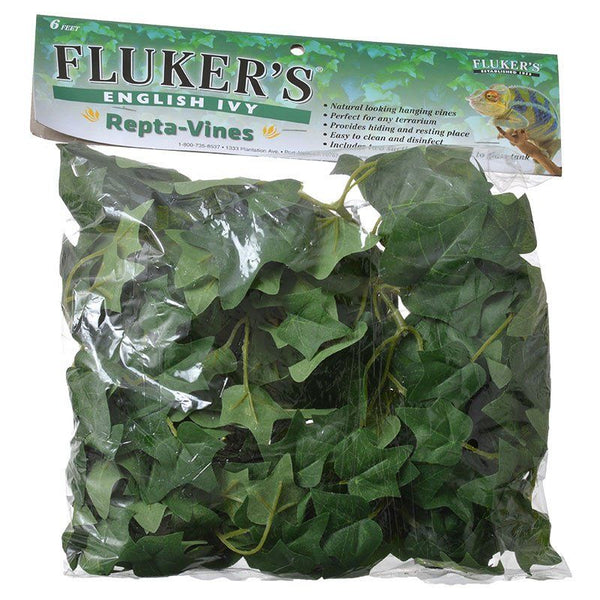 Flukers English Ivy Repta-Vines