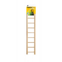 Prevue Birdie Basics Ladder