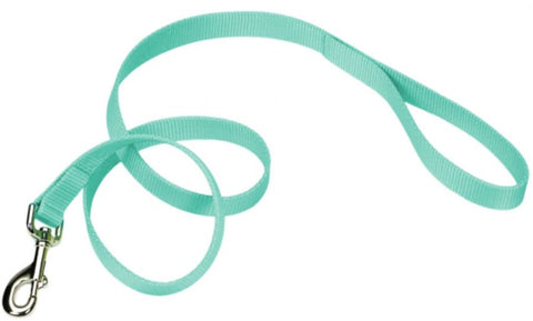 Coastal Pet Single-ply Teal Nylon Dog Lead