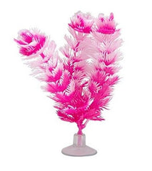 Marina Betta Foxtail Hot Pink/White Plastic Plant