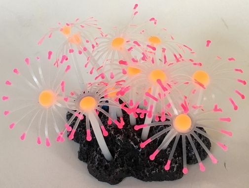 Aquatic Creations Aquarium Decor Star Polyps Pink & Orange